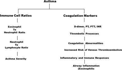 Immune cell ratio and coagulation markers in assessing prognosis of asthma: a cross-sectional study from Saudi Arabia